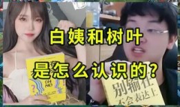 白姨新爆料视频大全集,揭秘娱乐圈幕后真相